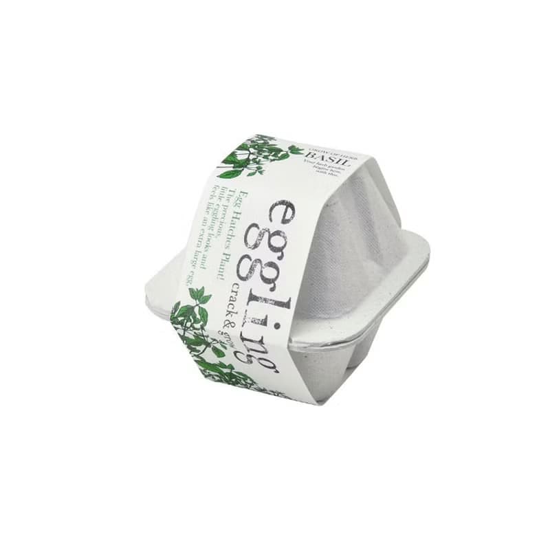 【熱門禮物】環保友善包裝 Eco eggling植物栽培蛋
