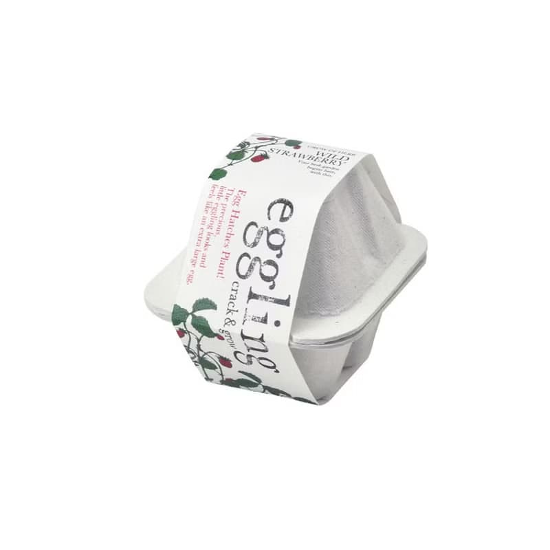 【熱門禮物】環保友善包裝 Eco eggling植物栽培蛋