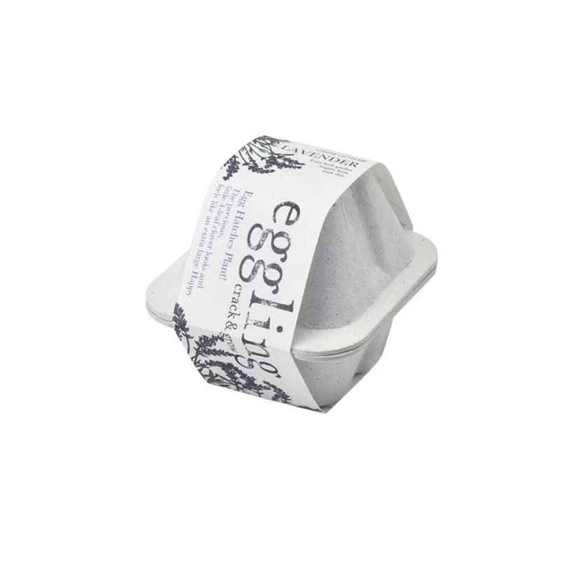 【熱門禮物】環保友善包裝 Eco eggling植物栽培蛋