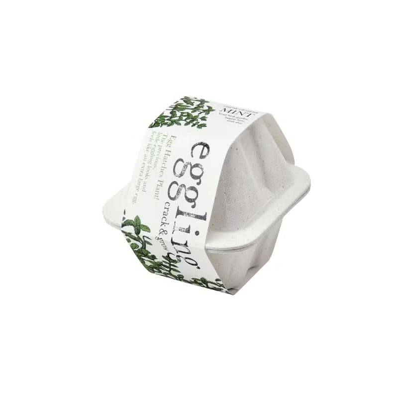 【熱門禮物】環保友善包裝 Eco eggling植物栽培蛋