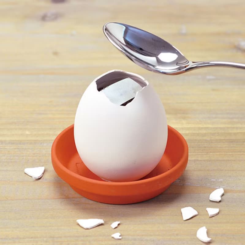 【熱門禮物】環保友善包裝 Eco eggling植物栽培蛋