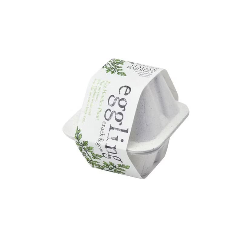 【熱門禮物】環保友善包裝 Eco eggling植物栽培蛋