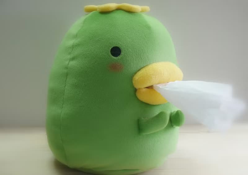 Bucute讓人想一直抽的/面紙套/面紙盒/全球限量/河童/100%手工交