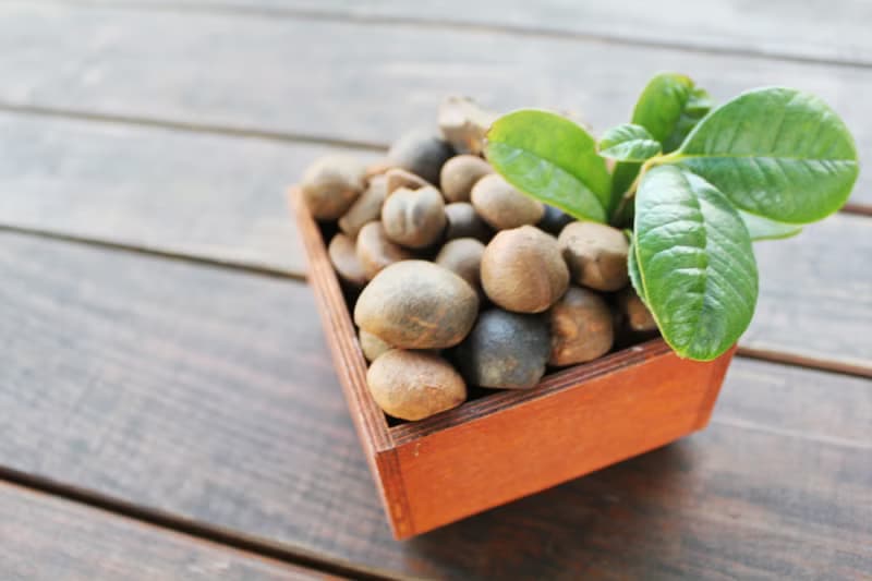 媽咪的好幫手 茶寶 淨覺茶  茶籽碗盤蔬果洗潔液 800ML