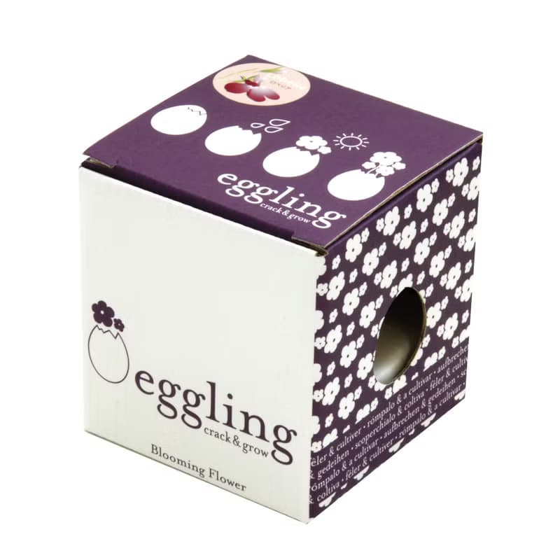 【福利品特賣】紙盒精裝版 eggling 植物栽培蛋 / 花系列 (附陶盆