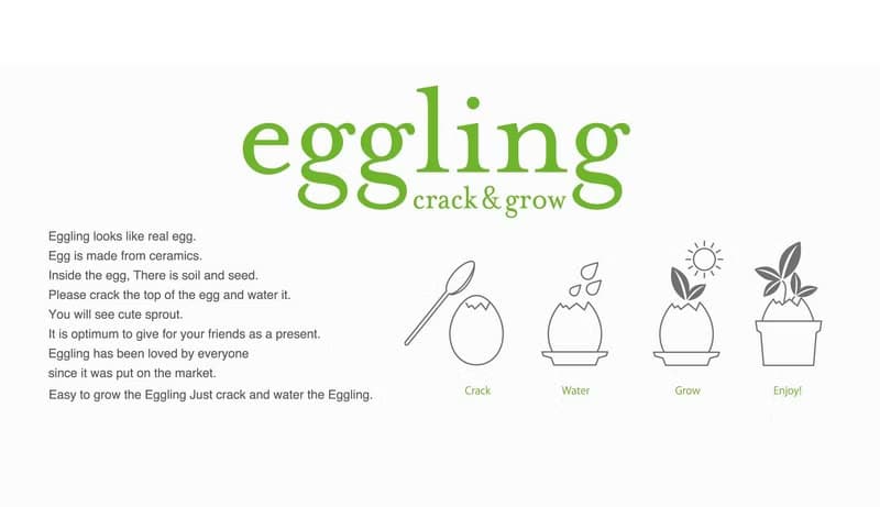 【福利品特賣】紙盒精裝版 eggling 植物栽培蛋 / 花系列 (附陶盆