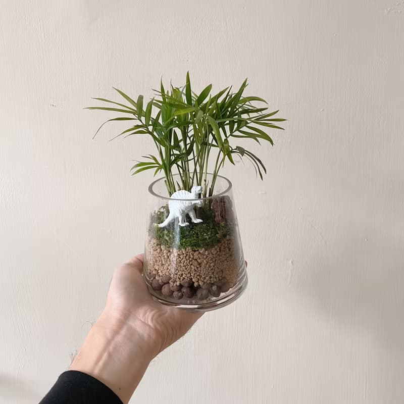 袖珍椰子苔蘚植栽 恐龍火山景觀 寵物友善