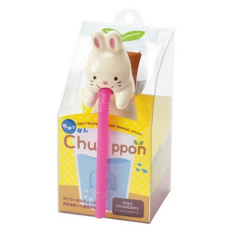 Chuppon 日本杯緣子動物植栽盆器 農場森林版