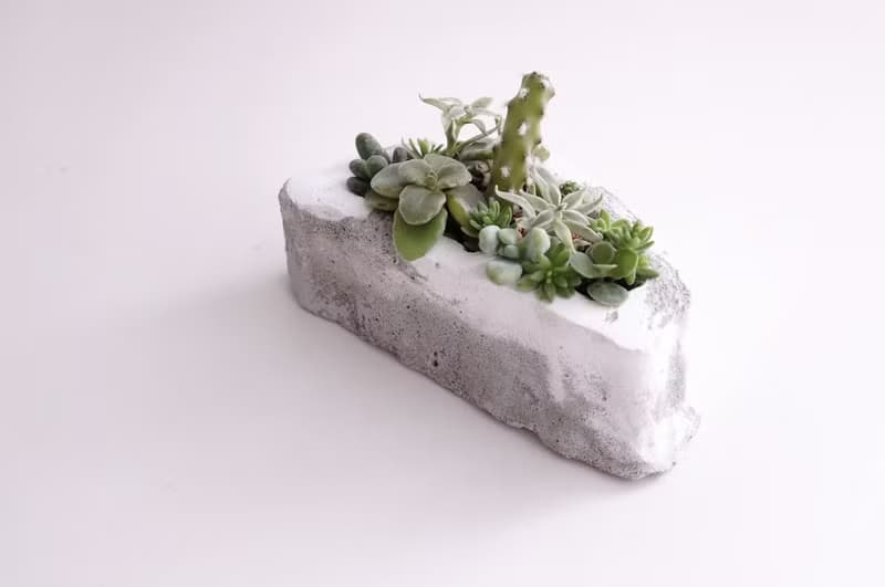 台灣下雪 多肉植物 水泥盆栽  雪  台灣造型 父親節禮物 交換禮物