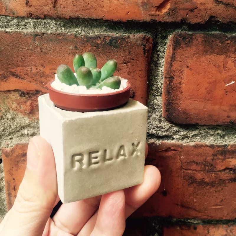 Relax!!磁鐵盆栽