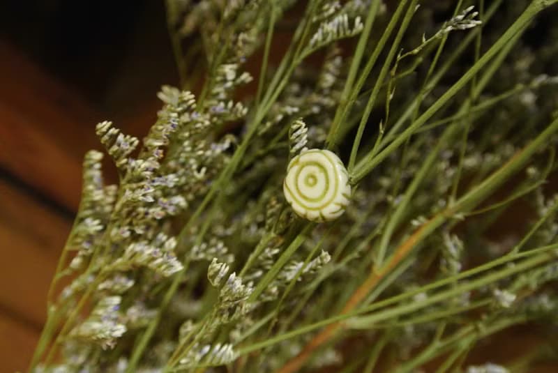 【 T - C 】耳環 日本白瓷 瓷器  限量 自然釉色 無限看不膩色調 攝氏1350高溫燒製
