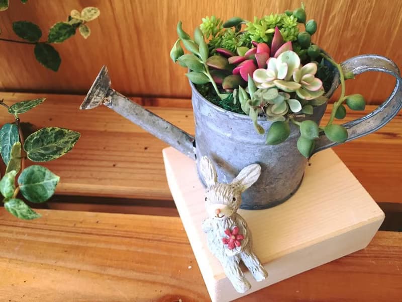 (盆栽) 園丁生活組合 含冷衫底座 The Set of Gardener's Life