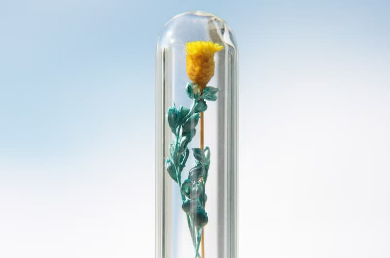 情人節禮物/ 森林女孩 / 英式乾燥花玻璃項鍊 - 黃色花朵 + 藍綠色藤蔓
