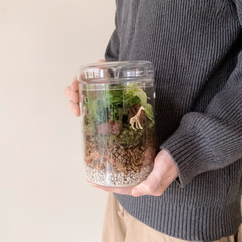 mini zoo 苔蘚景觀 室內植栽