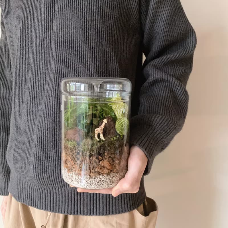 mini zoo 苔蘚景觀 室內植栽