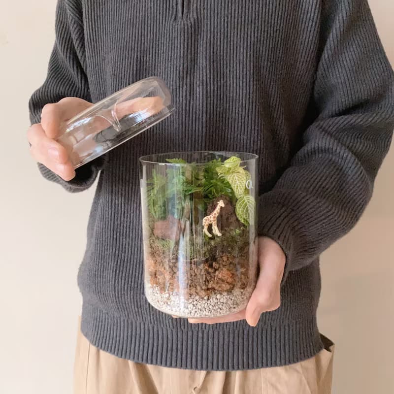 mini zoo 苔蘚景觀 室內植栽