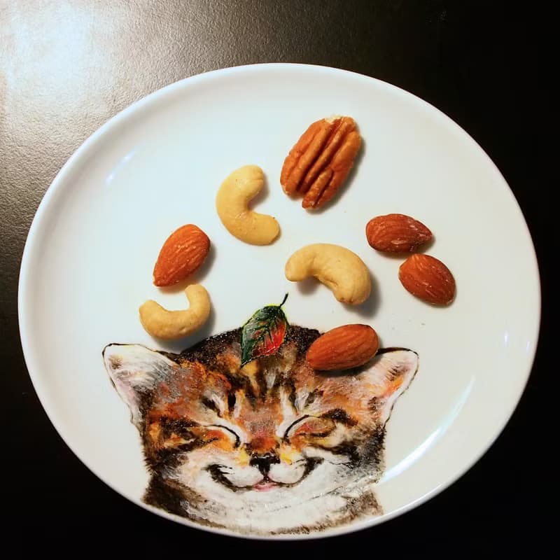 橢圓點心盤系列: 想變狸貓仙