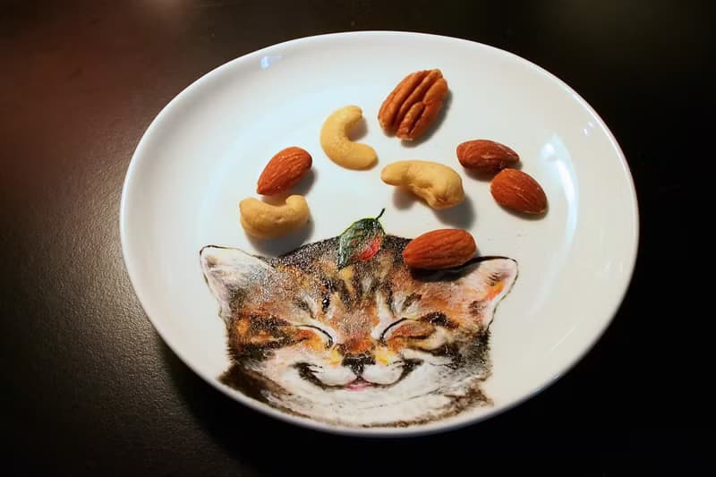 橢圓點心盤系列: 想變狸貓仙