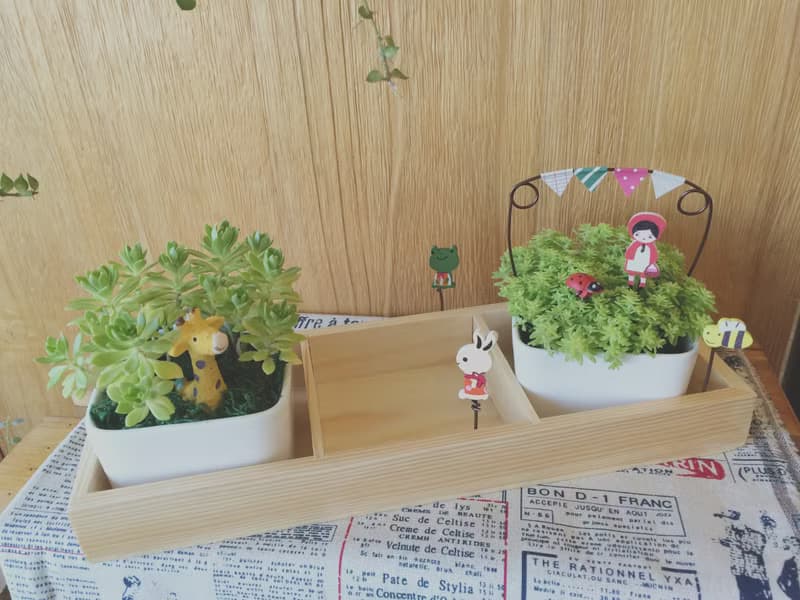 (盆栽) 園遊會裡玩躲貓貓 Play Hide and Seek at the Carnival