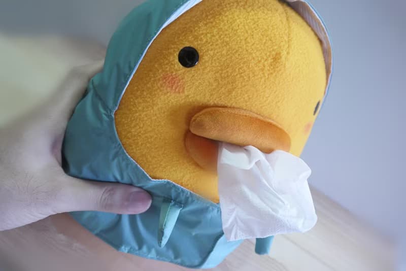 Bucute面紙套新衣服+小恐龍雨衣/面紙盒/全球限量/獨家發售/手工/