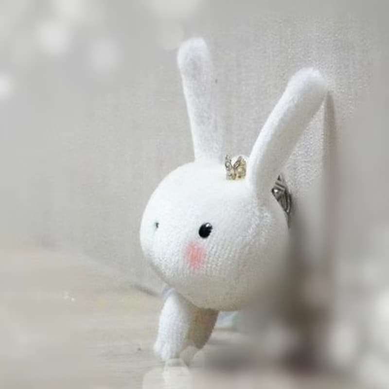 Bucute 擦拭手機螢幕┃ 布蘿兔手機吊飾┃附耳機塞┃禮物