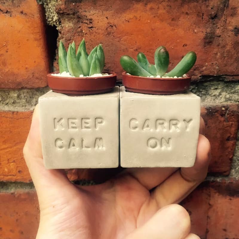Keep Calm&Carry on 保持冷靜 堅持下去 磁鐵盆栽組