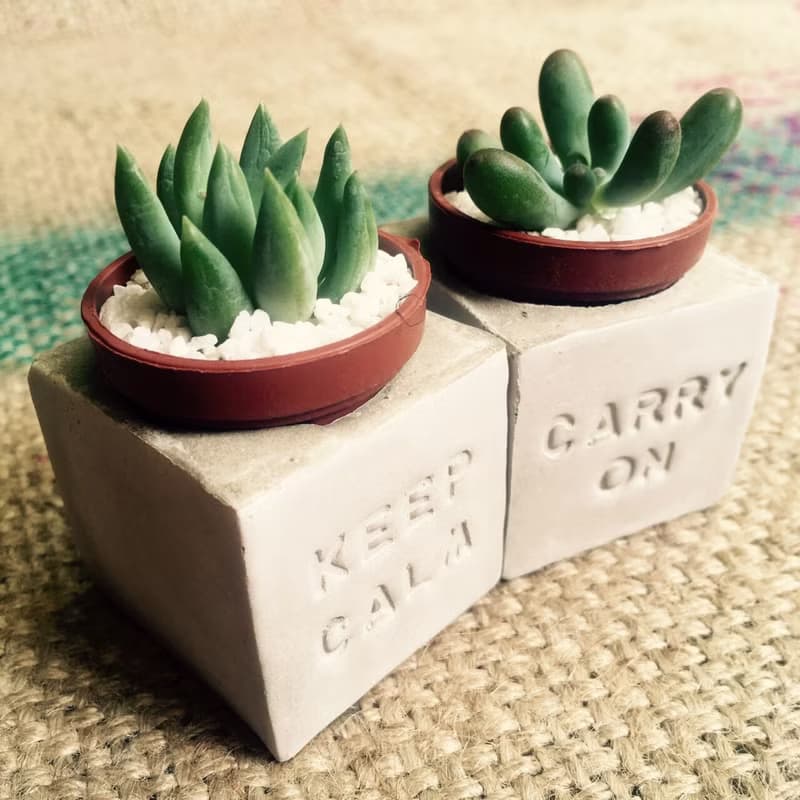 Keep Calm&Carry on 保持冷靜 堅持下去 磁鐵盆栽組