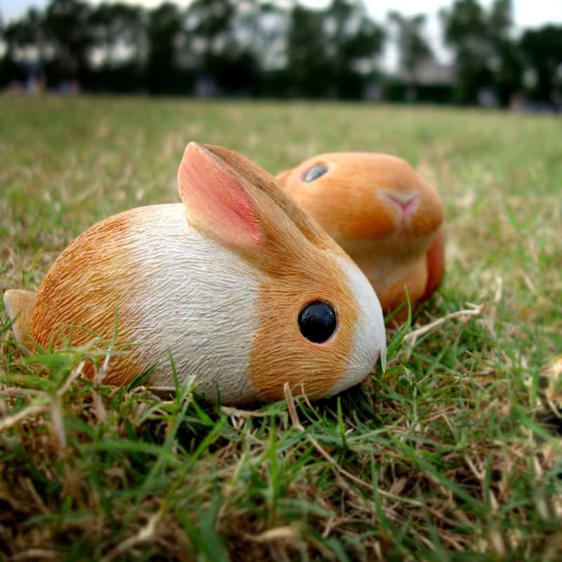 療癒圓滾滾系列-兔子兔子 Rabbit/Bunny