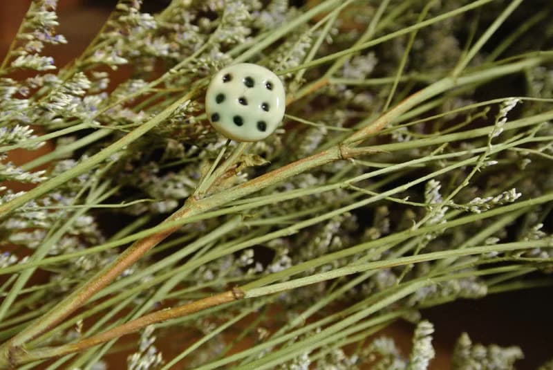 【 T - C 】耳環 日本白瓷 瓷器  限量 自然釉色 無限看不膩色調 攝氏1350高溫燒製