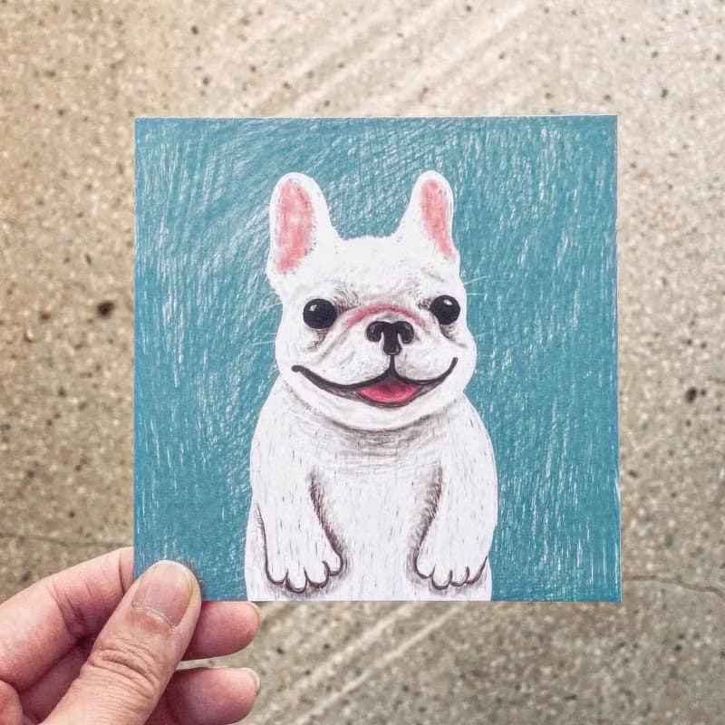 動物好朋友 | 小壯壯法鬥犬小狗生日卡片祝福明信片Postcard