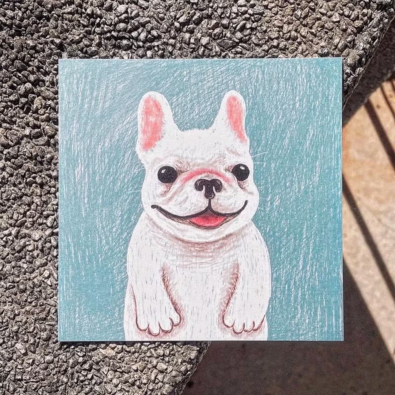 動物好朋友 | 小壯壯法鬥犬小狗生日卡片祝福明信片Postcard