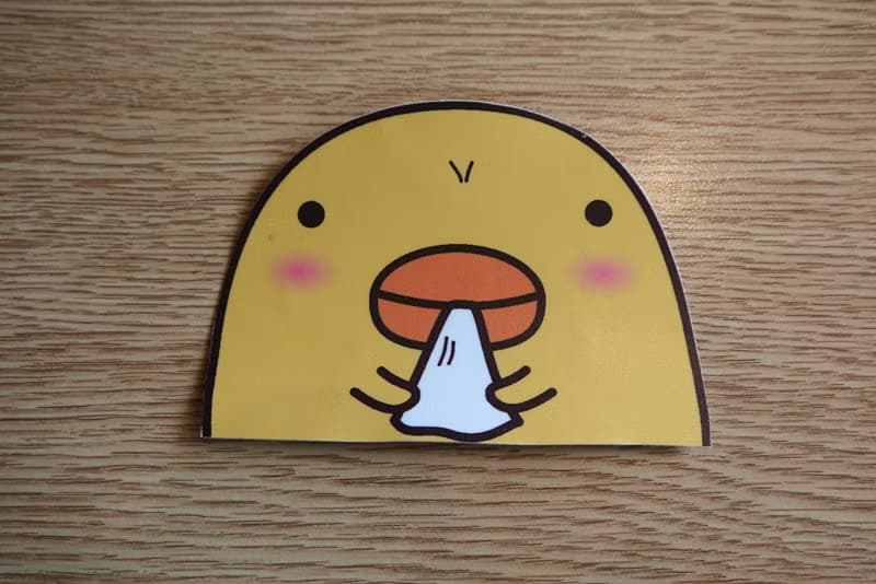 Bucute貼紙不只是貼紙/行李箱防水PVC貼紙/開關貼紙/單張