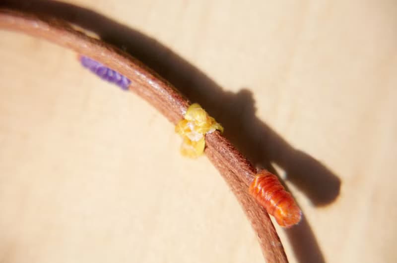 情人節禮物真皮手環純絲紗麗線手繩手環 手鐲-限定鮮豔色(可調式)