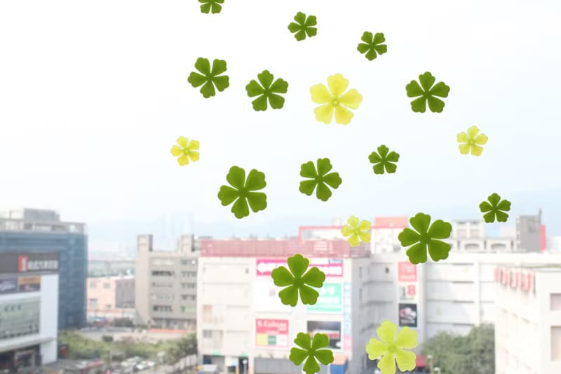 牡丹壁飾花朵組 綠色