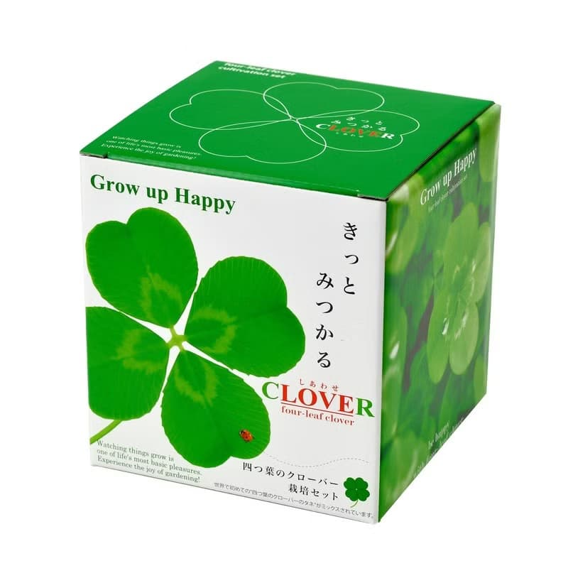 CLOVER 心形栽培套組 / 四葉幸運草