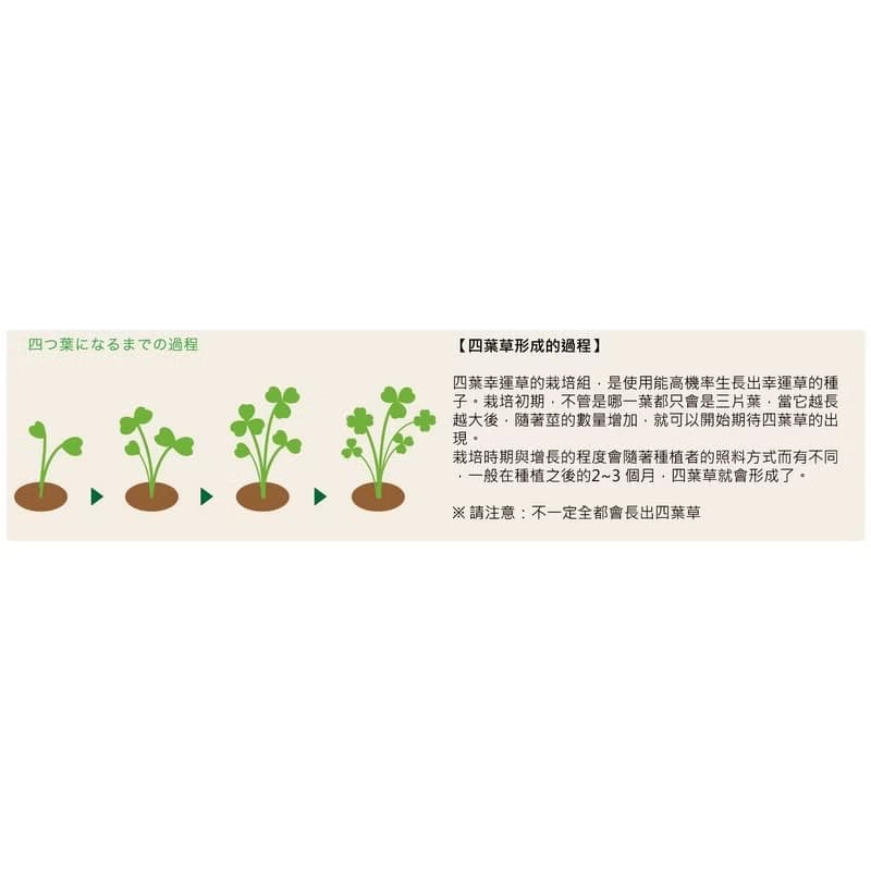 CLOVER 心形栽培套組 / 四葉幸運草