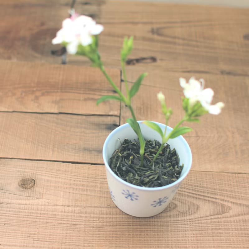 【琅茶】冷泡推薦 :: 桂香包種 / 優雅清爽・桂蘭花香 | 春