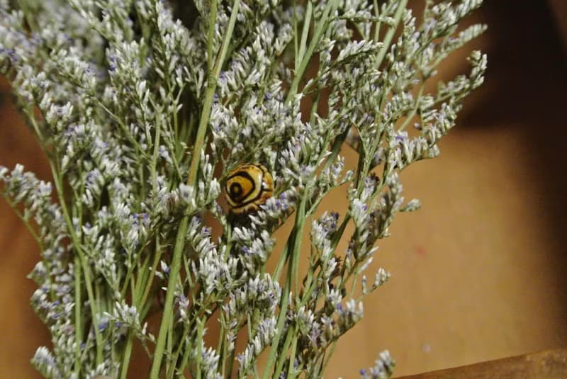 【 T - C 】耳環 日本白瓷 瓷器  限量 自然釉色 無限看不膩色調 攝氏1350高溫燒製