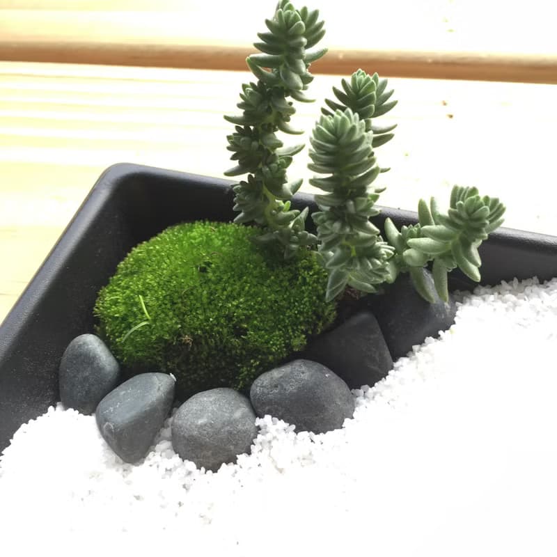 純自然 日式 禪庭 沙盤 枯山水 盆栽 禪風 送禮 手作 zen potted