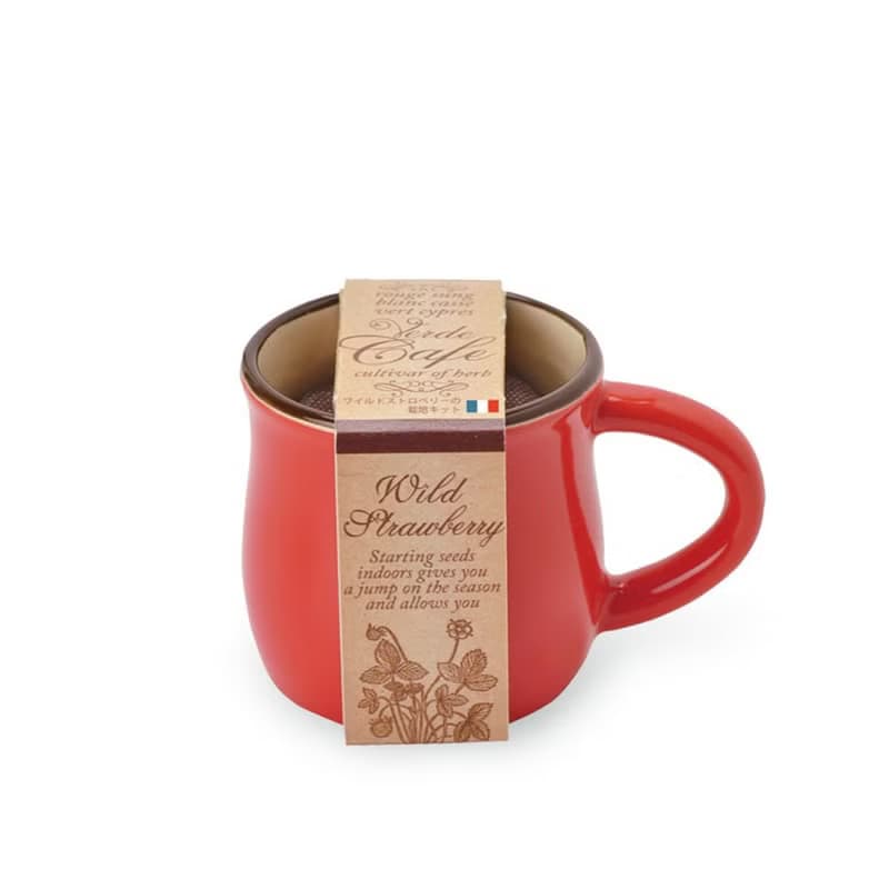 Verde Cafe - espresso造型種植盆器 / 咖啡杯 (四款)