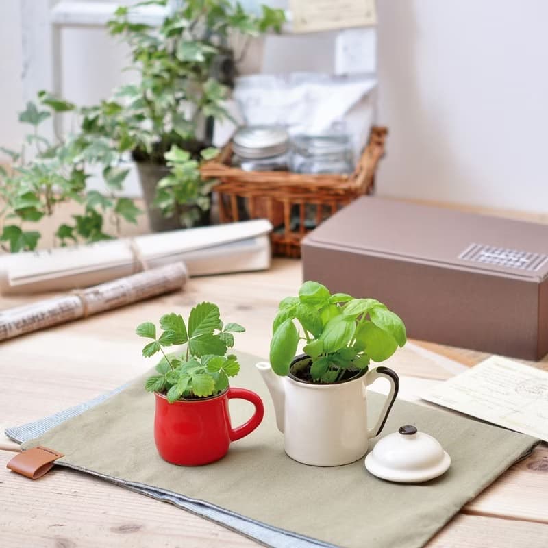 Verde Cafe - espresso造型種植盆器 / 咖啡杯 (四款)