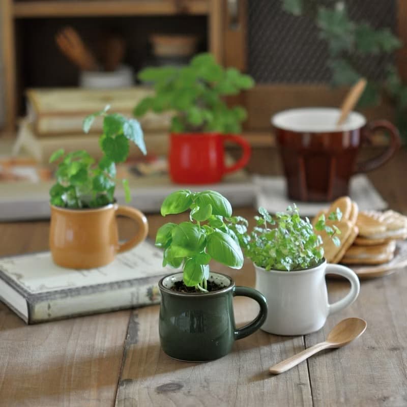 Verde Cafe - espresso造型種植盆器 / 咖啡杯 (四款)