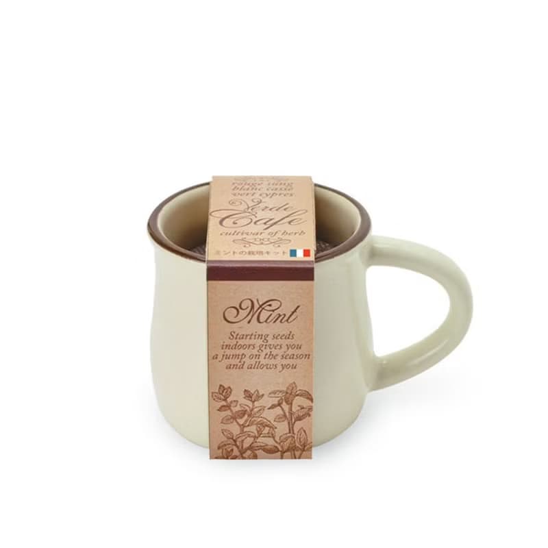 Verde Cafe - espresso造型種植盆器 / 咖啡杯 (四款)