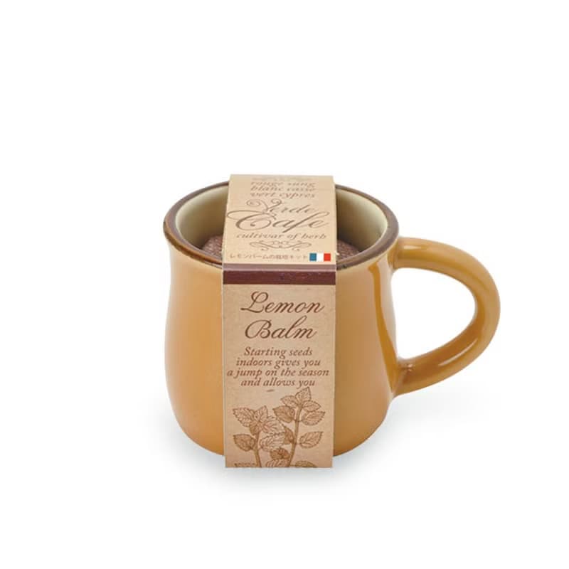 Verde Cafe - espresso造型種植盆器 / 咖啡杯 (四款)