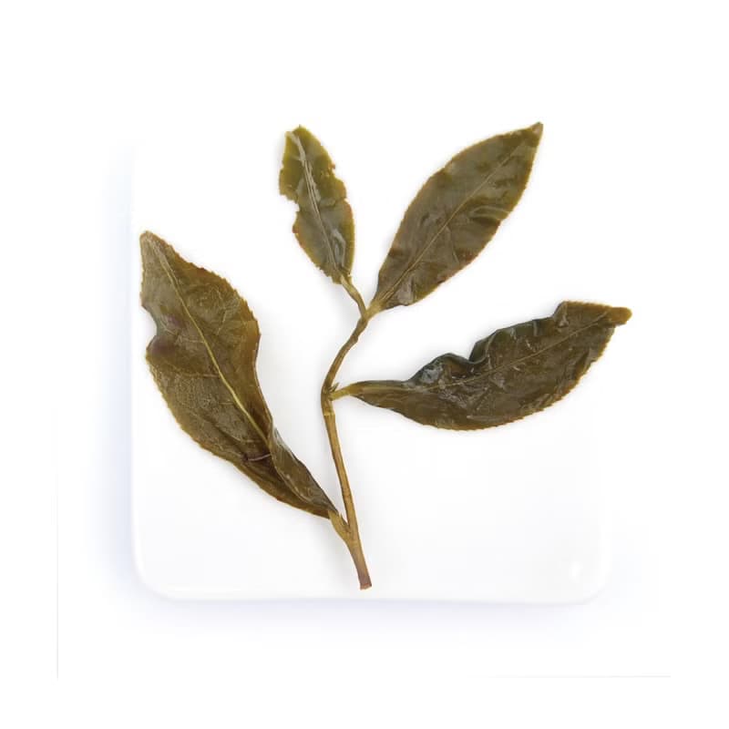 【無藏茗茶X台灣宜龍】簡單泡茶組_200ml咖色濾泡壺+18g高山烏龍