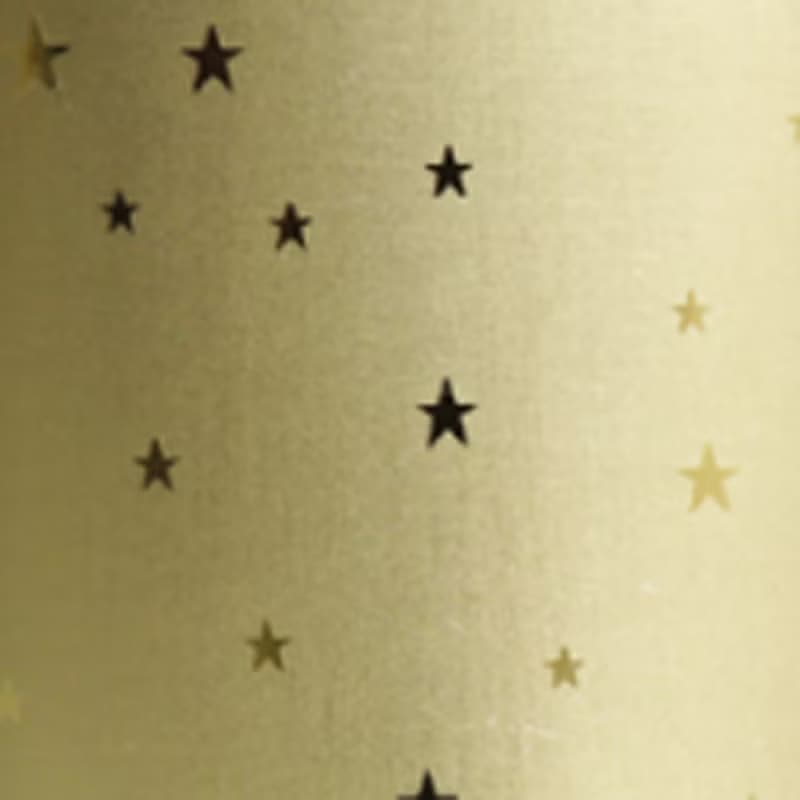 【日本製 Horie】鈦愛地球系列餐具-日本製純鈦設計馬克杯-黃金星