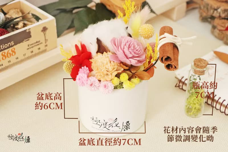 花叢中嬉戲的夕野兔 實拍圖 極度花燥 乾燥花 不凋花 永生花