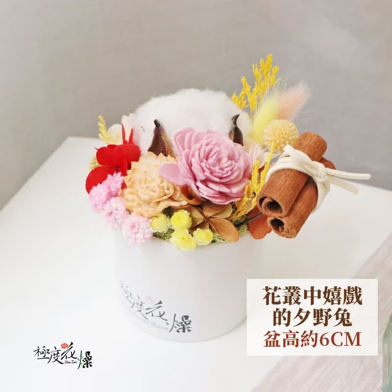 花叢中嬉戲的夕野兔 實拍圖 極度花燥 乾燥花 不凋花 永生花