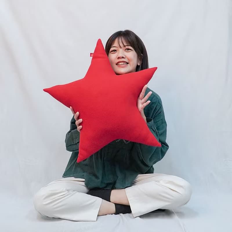 聖誕節 交換禮物 | 星星抱枕