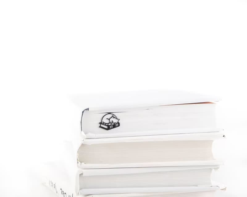 Metal Bookmark Sleeping Cat on the, Small Bookish Gift for Cat Lovers
